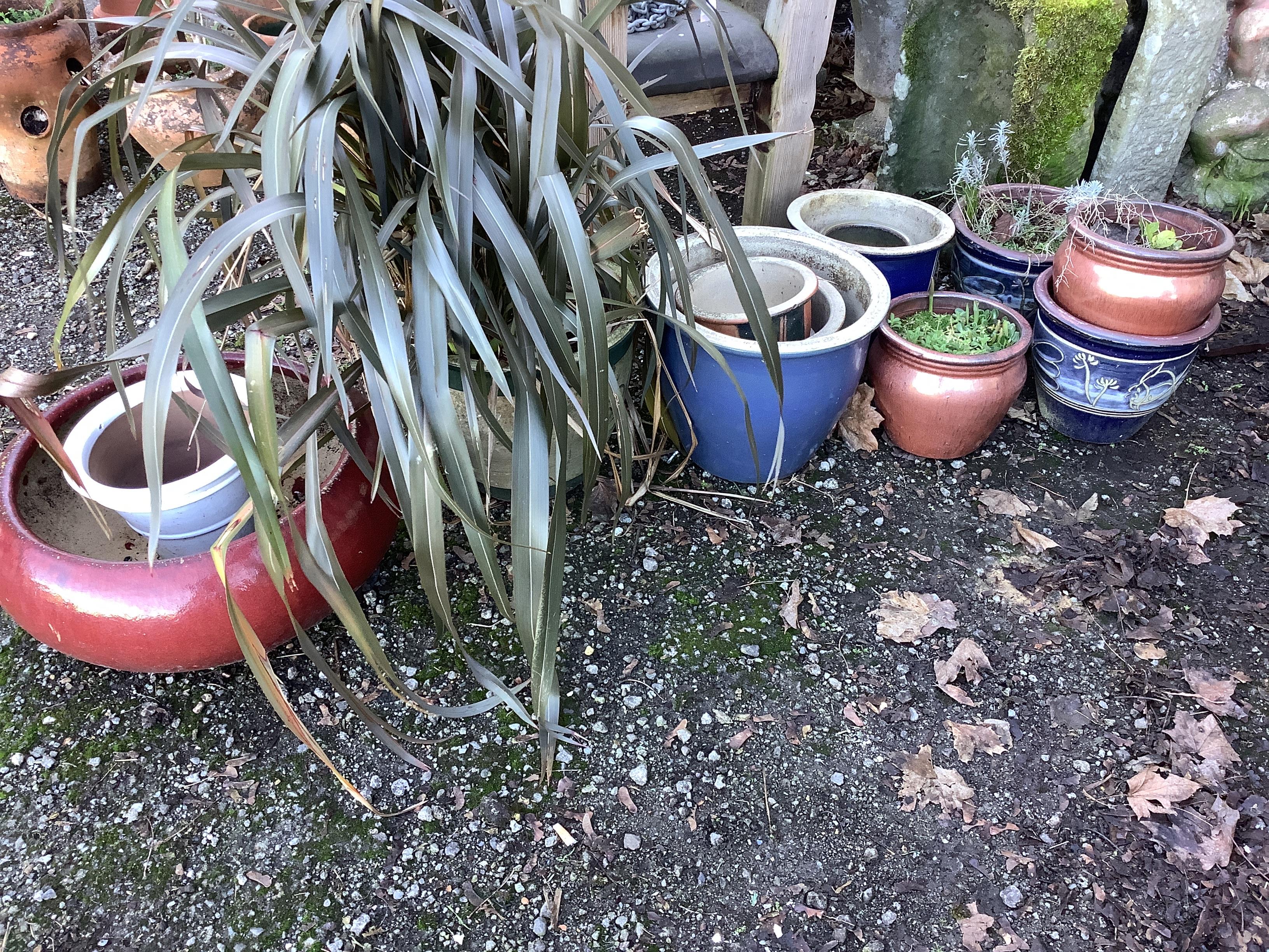 Twelve assorted glazed earthenware garden planters, largest diameter 54cm, height 24cm